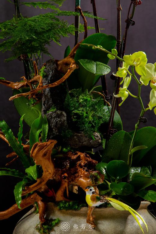 蛇盘聚宝 商品图2