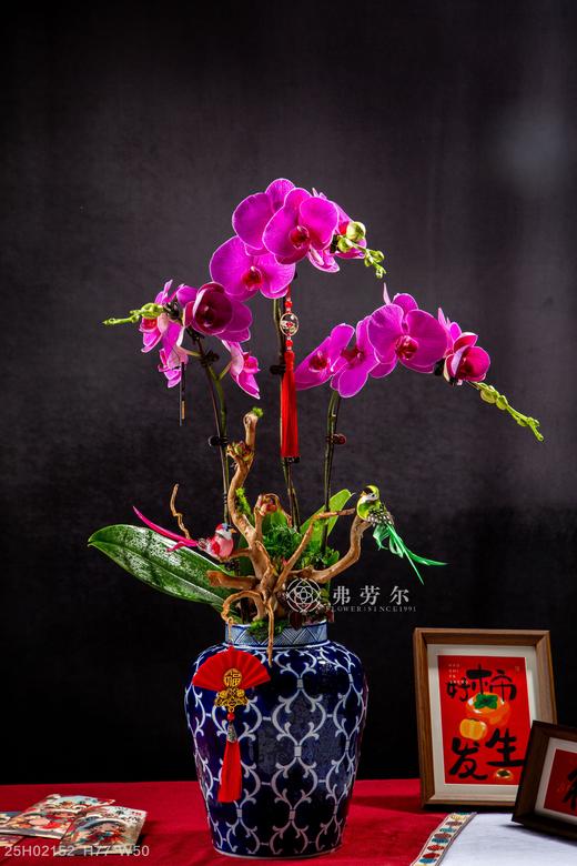 蛇影流金 商品图0