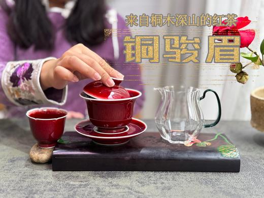 【会员福利】 与金骏眉同系同枝，铜骏眉鲜香滑嫩，浓厚如醴酪，照亮整个冬日！ 商品图9