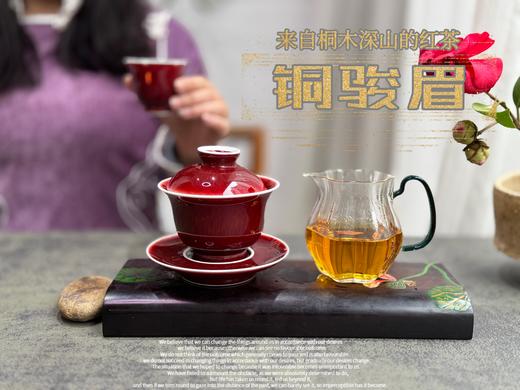 【会员福利】 与金骏眉同系同枝，铜骏眉鲜香滑嫩，浓厚如醴酪，照亮整个冬日！ 商品图13