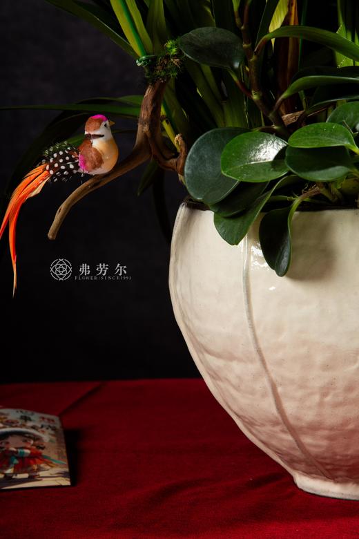 银蛇添喜气 商品图4