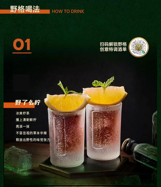 【春节不打烊】德国进口网红酒野格利口酒力娇酒20ml*2瓶 商品图3