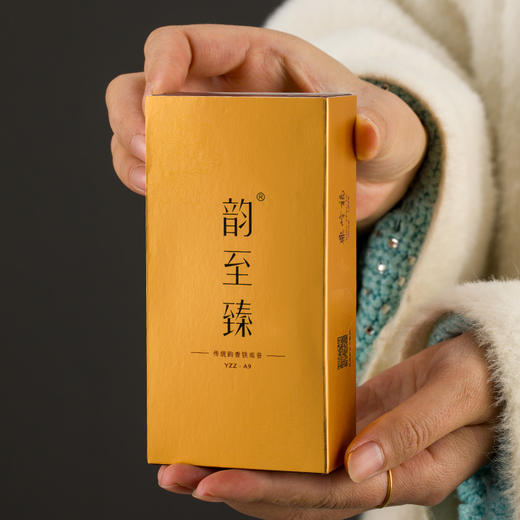 【A9】韵至臻浓香型铁观音YZZ- A9   250g/盒送手提袋一个 商品图9