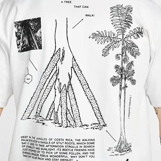 HJ0797-121 商品图3