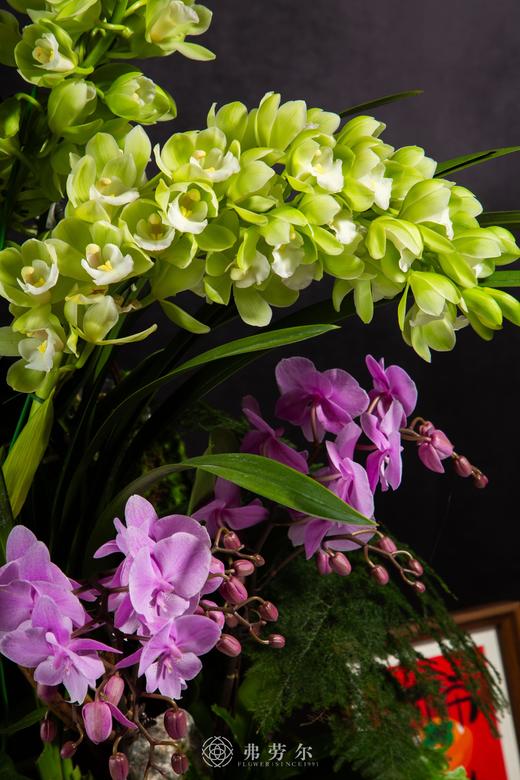 银蛇添喜气 商品图1