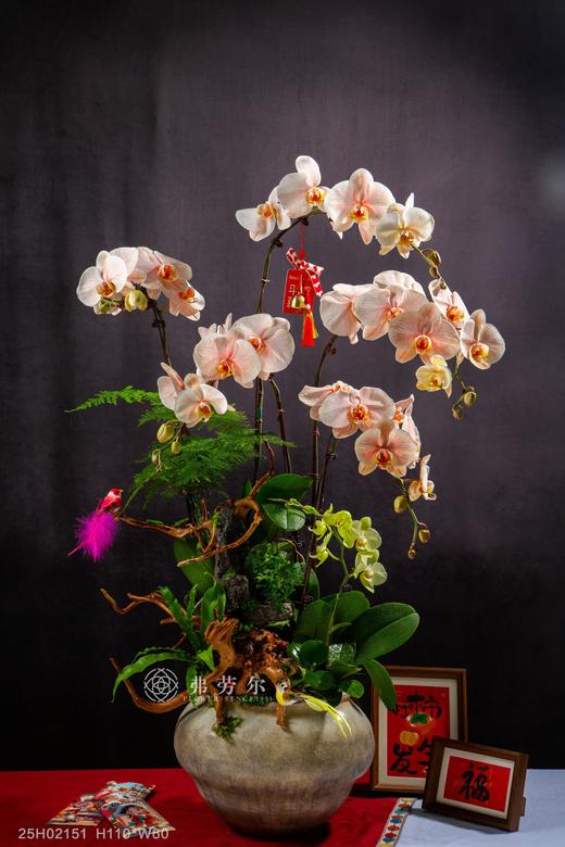 蛇盘聚宝 商品图0