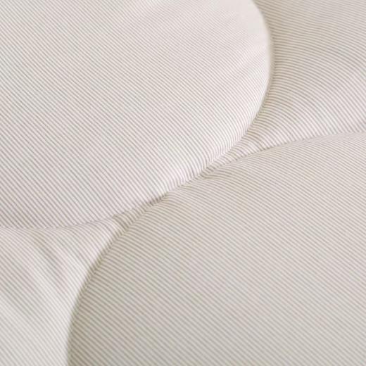 10楼堂皇    智暖大豆亲肤春秋被 200x230胎重600g      吊牌价980元 活动价199元 商品图5