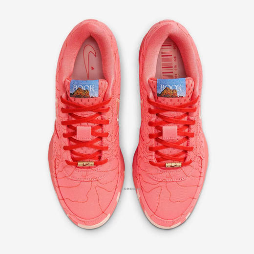 IB8053-800 商品图4