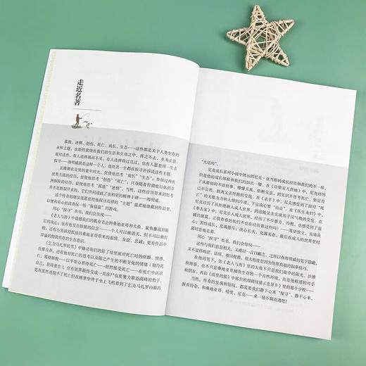 老人与海 南方出版社 名著阅读课程化丛书高中必读 商品图2