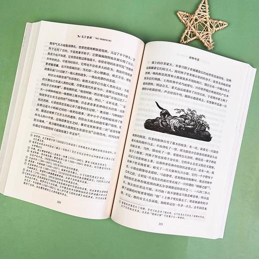 瓦尔登湖 南方出版社 名著阅读课程化丛书高中课外读物 商品图3
