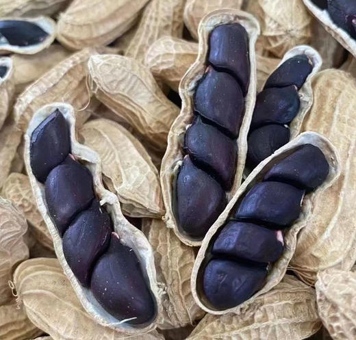 富硒黑珍珠花生250g 商品图0