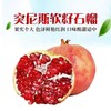 黑钻突尼斯软籽石榴约500G-600G/粒 /个 商品缩略图0