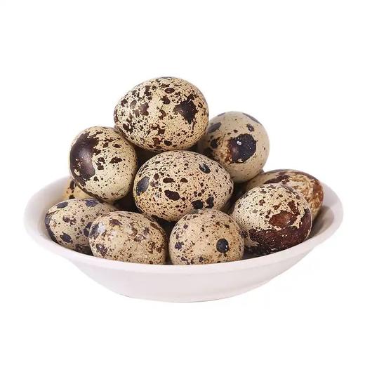 鹌鹑蛋每公斤 商品图0
