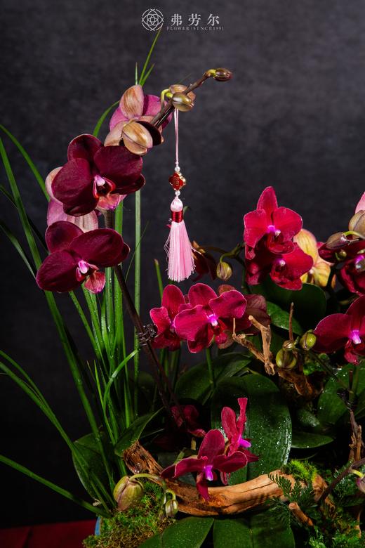 蛇象载福 商品图1