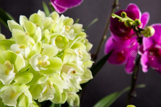 祥蛇迎福瑞 商品图2