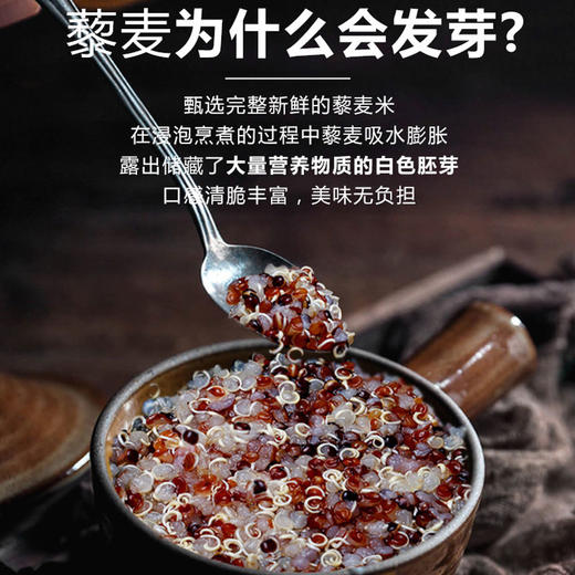 【厂商直发】有机白藜麦米/三色藜麦米500g颗粒饱满有机认证包邮 商品图7