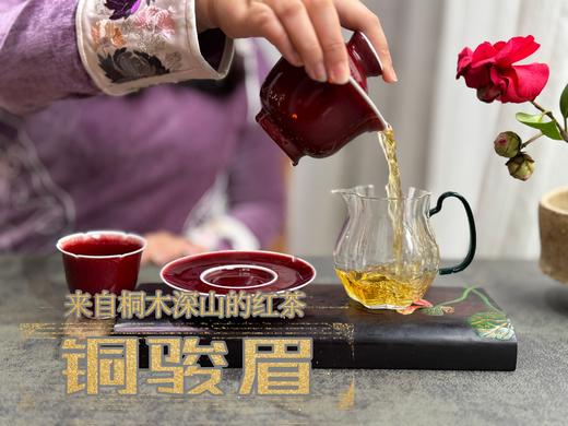 【会员福利】 与金骏眉同系同枝，铜骏眉鲜香滑嫩，浓厚如醴酪，照亮整个冬日！ 商品图10