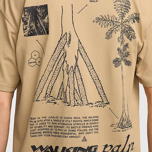 HJ0797-297 商品图3