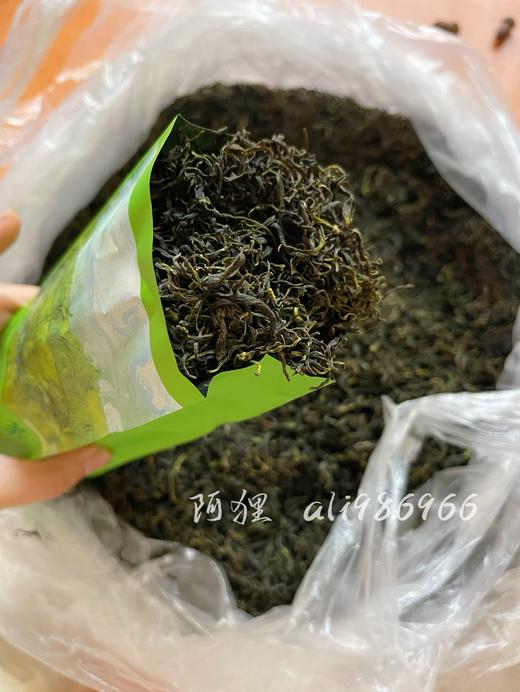 崂山绿茶 碧螺春工艺 阿狸自家茶园采摘 江北名茶 高档品质茶 商品图3