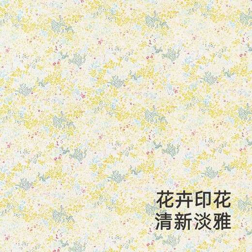 英氏婴儿抱被春夏季轻薄透气抱被男女宝新生儿包单YEBAJ1R004A 商品图1