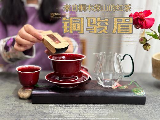 【会员福利】 与金骏眉同系同枝，铜骏眉鲜香滑嫩，浓厚如醴酪，照亮整个冬日！ 商品图7