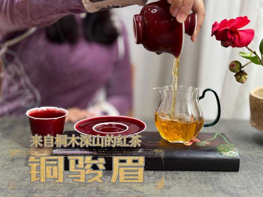 【会员福利】 与金骏眉同系同枝，铜骏眉鲜香滑嫩，浓厚如醴酪，照亮整个冬日！ 商品图11