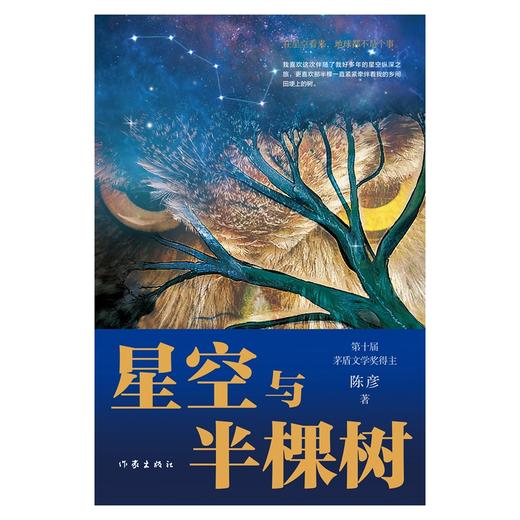 星空与半棵树 商品图1