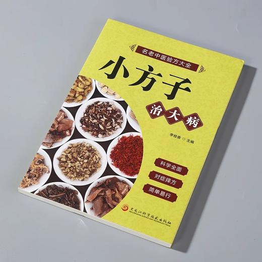 小方子治大病 商品图1