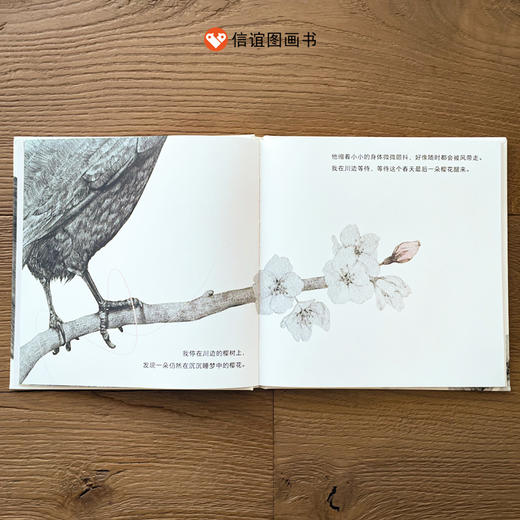 小黑与樱花 商品图2