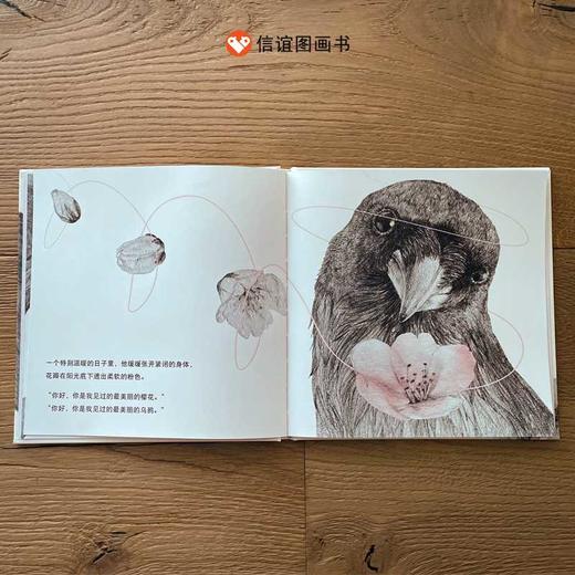 小黑与樱花 商品图4