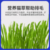 玲宠化毛球片猫草片鱼油片吐毛球猫咪专用滋养毛发化毛片维生素 商品缩略图4