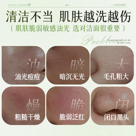 【梵西新品 119元任选3件】梵西山茶花氨基酸洗面奶干敏肌洁面深层清洁控油保湿官方旗舰店 100g/支 商品图1