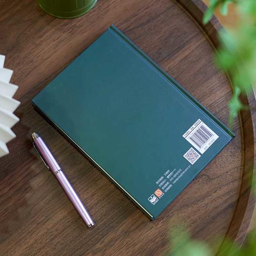 家族财富传承:实务案例与解决方案 商品图4