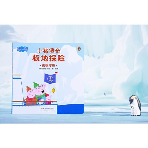 南极冰山 商品图1