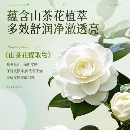 【梵西新品 119元任选3件】梵西山茶花氨基酸洗面奶干敏肌洁面深层清洁控油保湿官方旗舰店 100g/支 商品图3