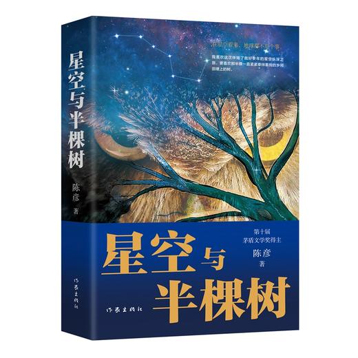 星空与半棵树 商品图0