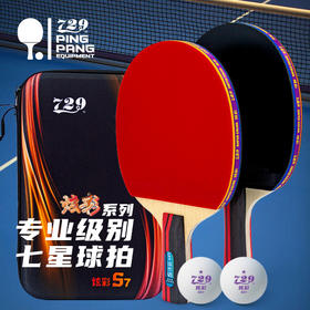 友谊729 炫彩S7系列乒乓球拍
