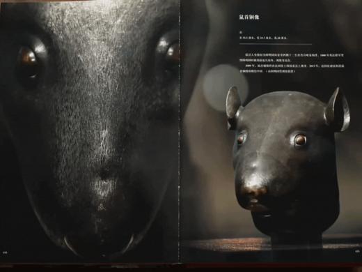 大美圆明园｜  圆明园管理处官方出品 ｜ 再现皇家万园之园的辉煌盛景，读懂5000年文明凝聚的中式美，是谓大美圆明园 商品图10