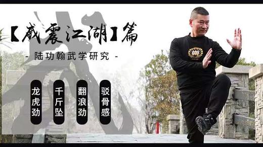 【初入江湖】＋【登堂入室】＋【威震江湖】武学研究之拳理解读专栏 商品图2