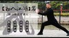 【初入江湖】＋【登堂入室】＋【威震江湖】武学研究之拳理解读专栏 商品缩略图0