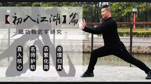 【初入江湖】＋【登堂入室】＋【威震江湖】武学研究之拳理解读专栏 商品图0
