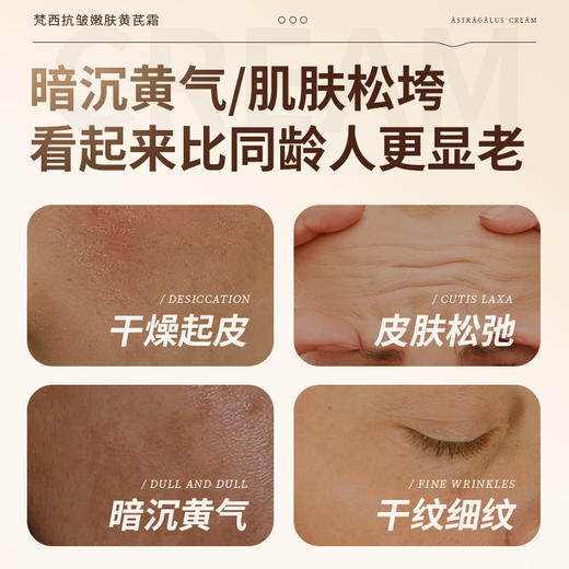 【梵西新品 119元任选3件】FONCE梵西抗皱嫩肤黄芪霜  100g/盒 商品图1