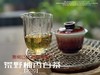 【会员推荐】2020荒野柚香白茶，那股奇特柚香，是太姥山上从未绽放过的，清奇隽秀之姿，清雅秀丽之态！ 商品缩略图6
