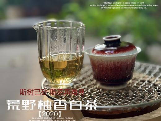 【会员推荐】2020荒野柚香白茶，那股奇特柚香，是太姥山上从未绽放过的，清奇隽秀之姿，清雅秀丽之态！ 商品图6
