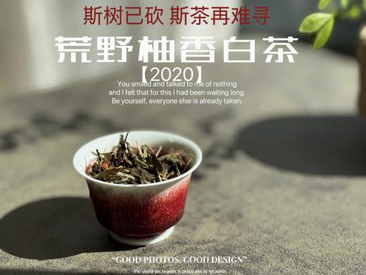 【会员推荐】2020荒野柚香白茶，那股奇特柚香，是太姥山上从未绽放过的，清奇隽秀之姿，清雅秀丽之态！ 商品图2