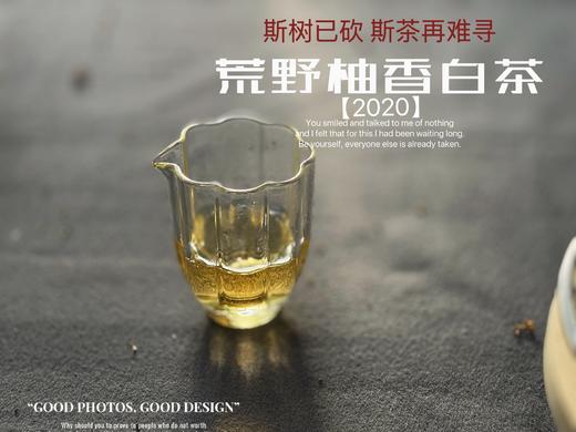 【会员推荐】2020荒野柚香白茶，那股奇特柚香，是太姥山上从未绽放过的，清奇隽秀之姿，清雅秀丽之态！ 商品图4