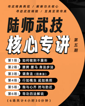 陆功翰核心拳理讲座 第5至8期（刨析传武核心，场场经典！）