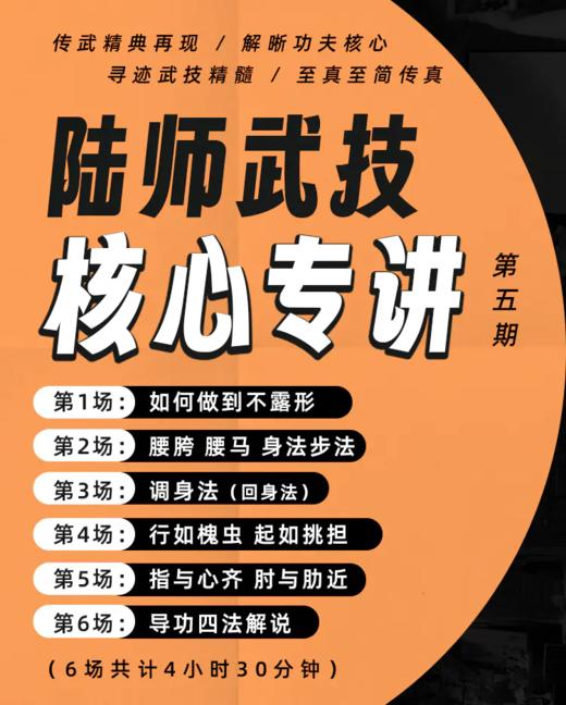 陆功翰核心拳理讲座 第5至8期（刨析传武核心，场场经典！） 商品图0