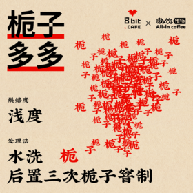 埃塞俄比亚 水洗 栀子多多 窨制精品手冲咖啡豆 100g