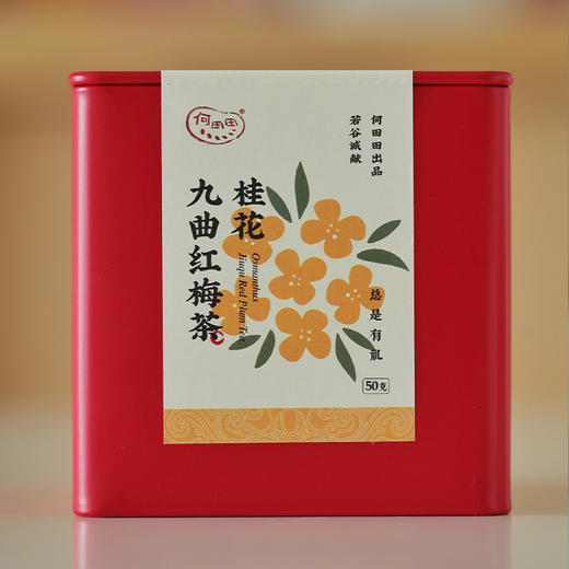 杭州名产九曲红梅 老红茶新味道  玫瑰九曲与柠檬九曲 商品图3